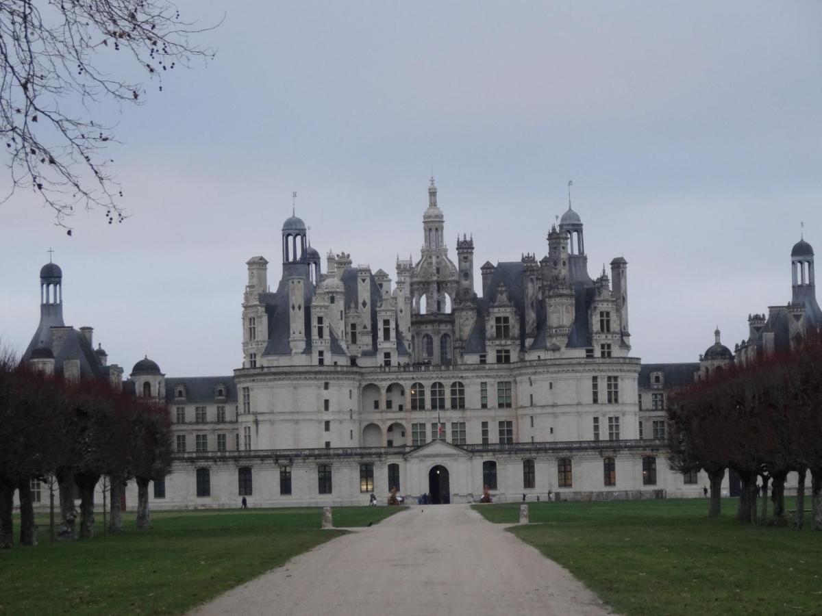 Gite Le Cerf Solognot Proche Chateau Chambord, Lamotte Beuvron Neung-sur-Beuvron Exteriér fotografie