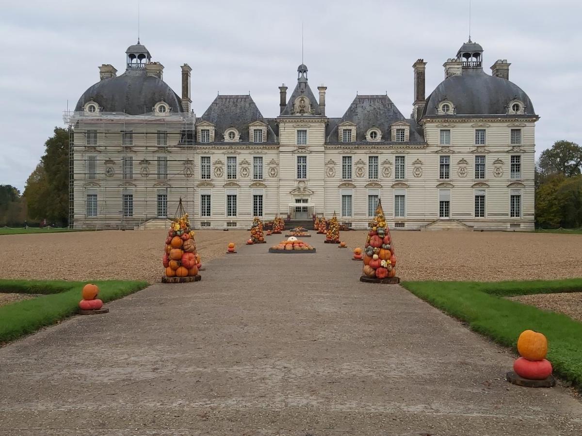 Gite Le Cerf Solognot Proche Chateau Chambord, Lamotte Beuvron Neung-sur-Beuvron Exteriér fotografie
